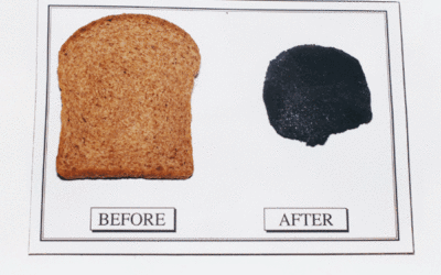 Before & After: Whole Wheat